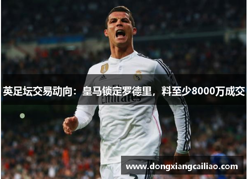 英足坛交易动向：皇马锁定罗德里，料至少8000万成交
